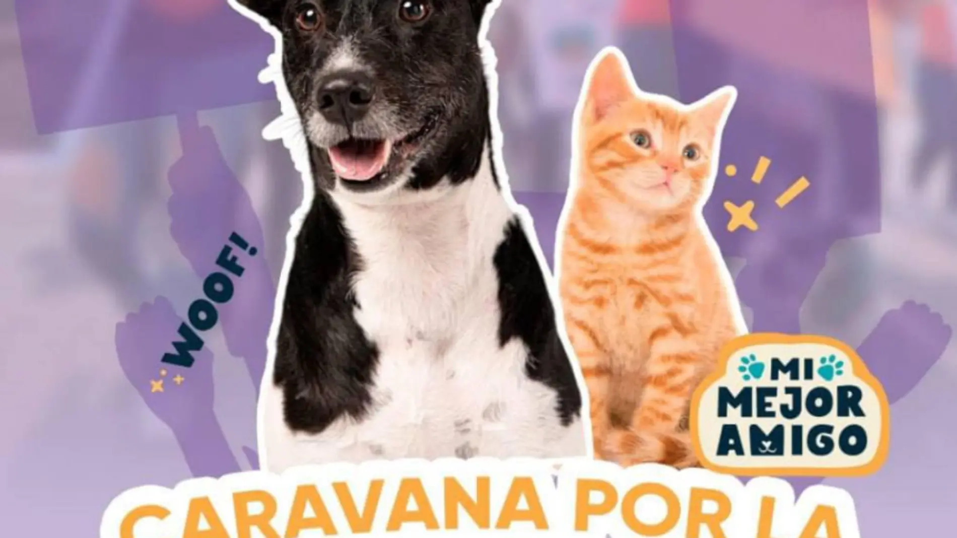 Caravana por la adopción